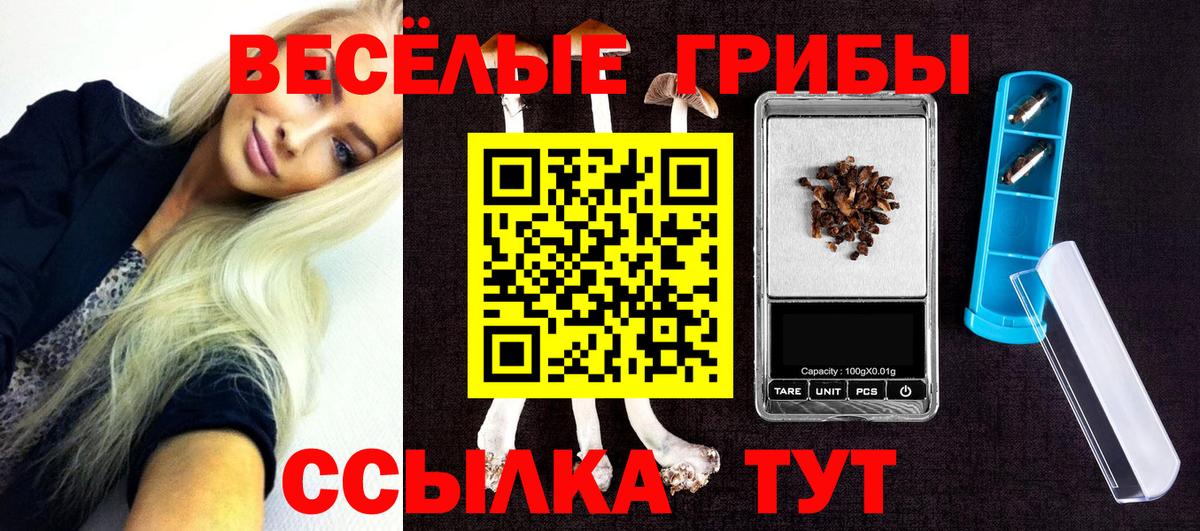 Псилоцибиновые грибы MAGIC MUSHROOMS Ливны